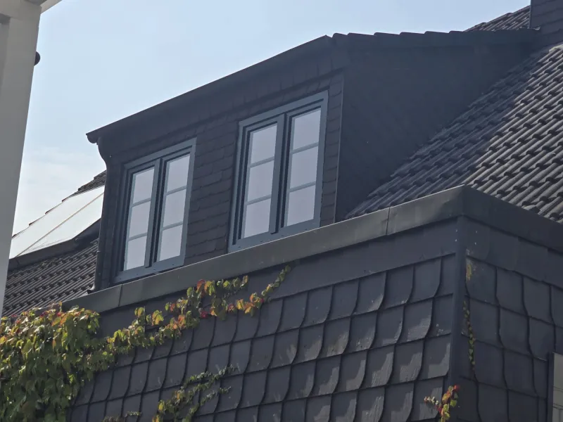 Ein dunkles Schindeldach mit einer Gaube mit zwei Glasfensterscheiben; an der Seite wächst kletternder grüner und roter Efeu, der an den Charme Wuppertals erinnert.